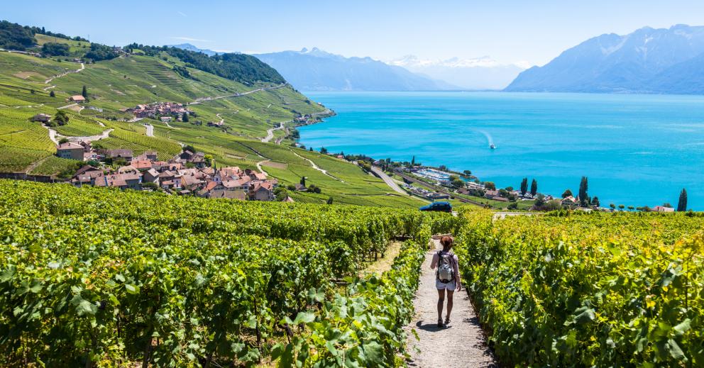 Out of the City: discover the Lavaux Vineyard Terraces 